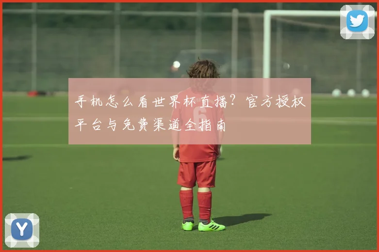 手机怎么看世界杯直播?官方授权平台与免费渠道全指南